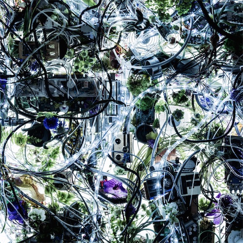 http://popscene.jp/foundit/img/SECL1882_3_JK_shokai20160317.jpg