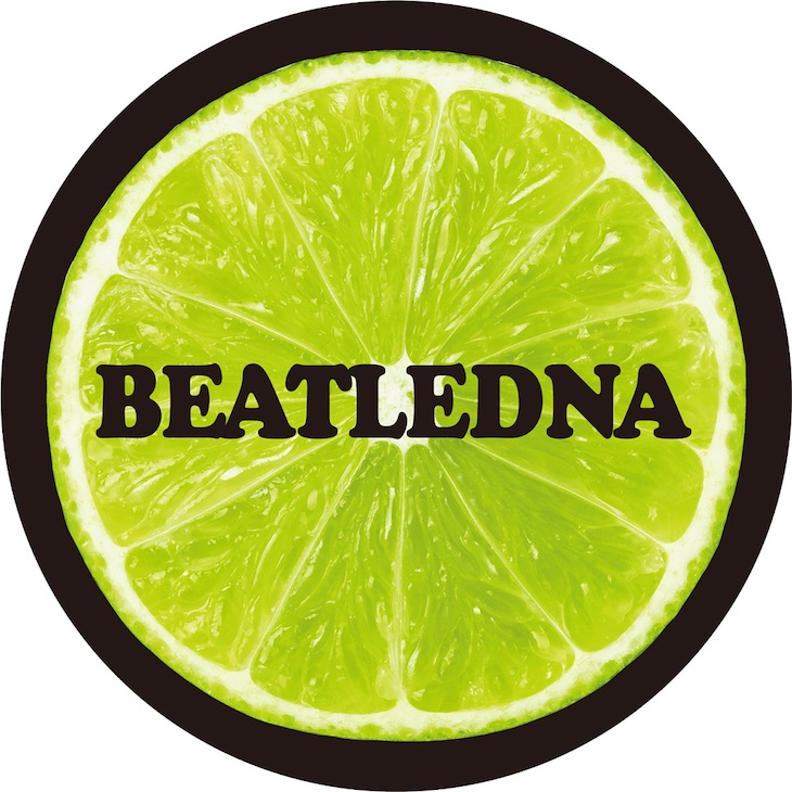 ビートルズの遺伝子を受け継ぐ「BeatleDNA」楽曲、という視点でコンピされた2枚組とな。