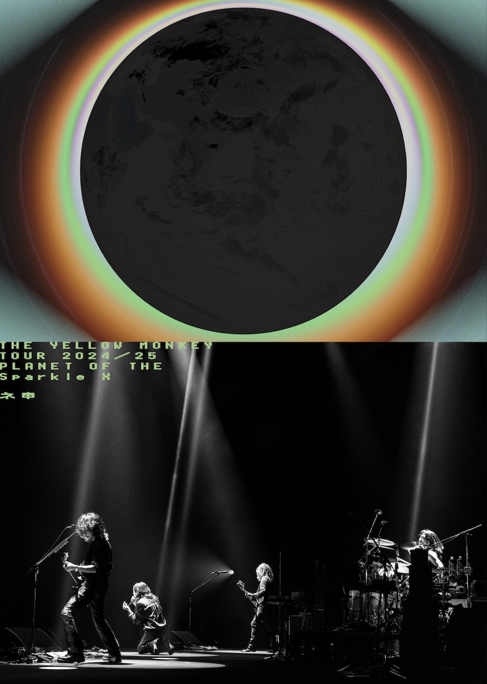 DVD_ne20260618.jpeg