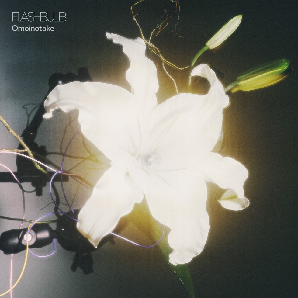 FLASHBULB20260610.jpeg