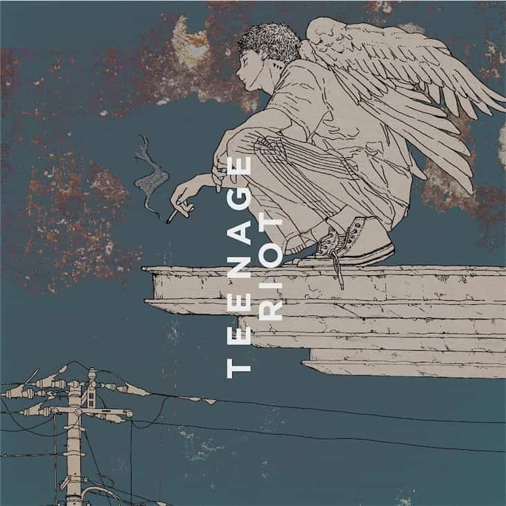 Flamingo / TEENAGE RIOT