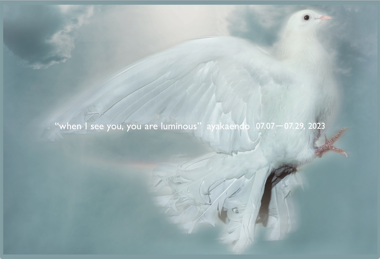 新進気鋭作家 ayakaendoによる個展 "when I see you, you are luminous" を開催！