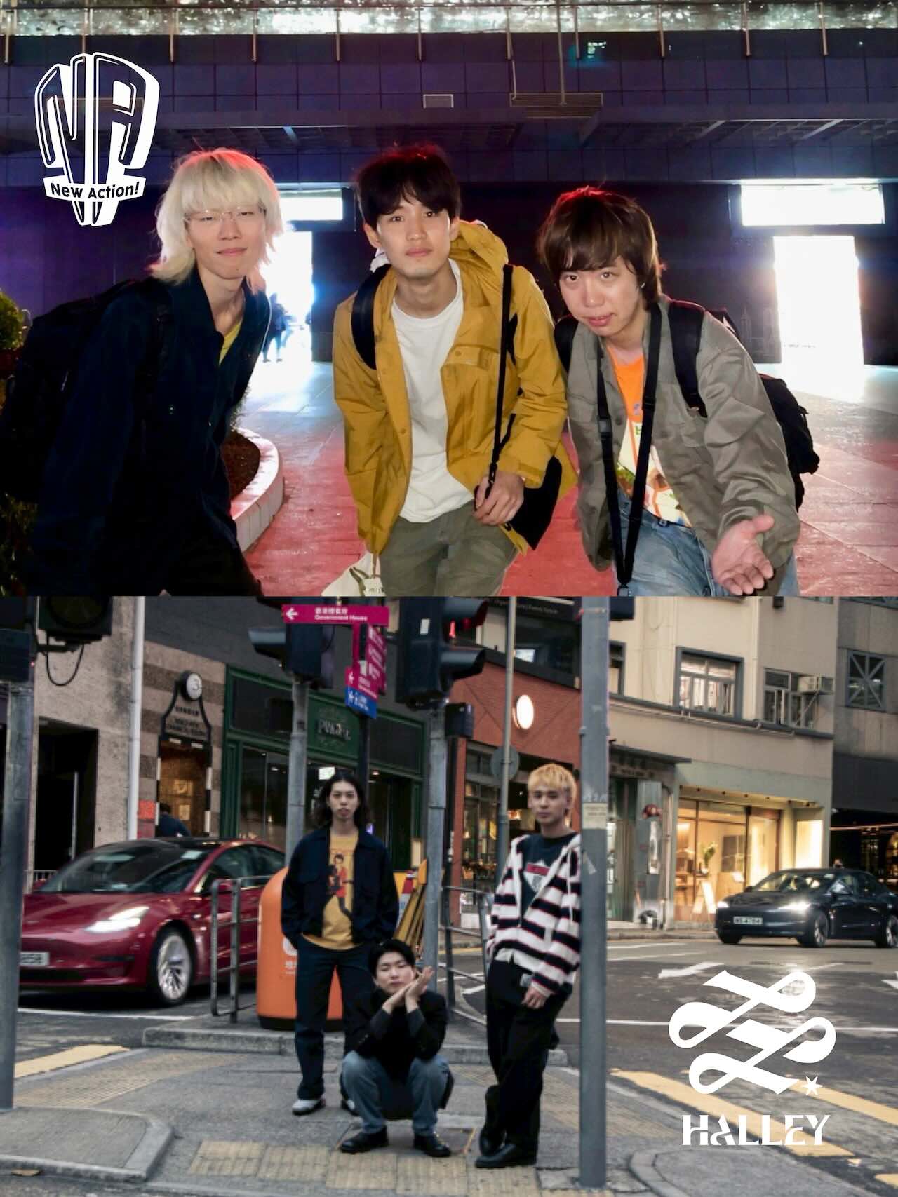 New Action! × HALLEYによるサマーパーティー、江ノ島にて開催決定！